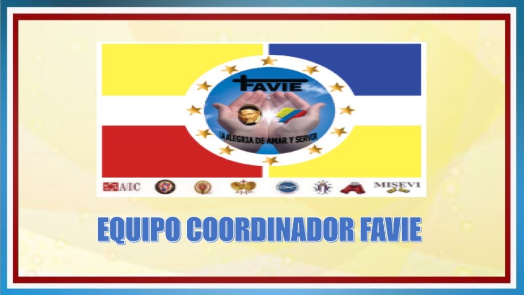 INFORME DE ACTIVIDADES FAVIE 2015 2018